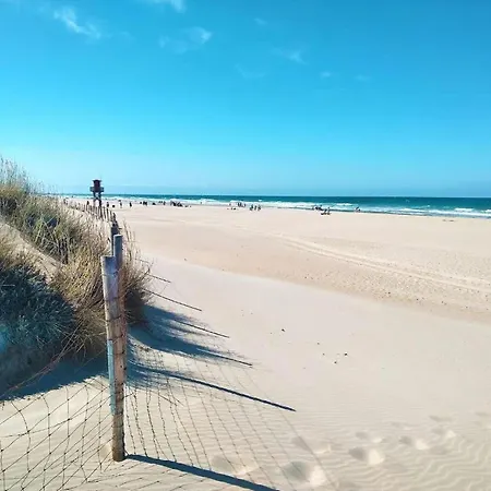 In Near Seabeach Апартаменты
